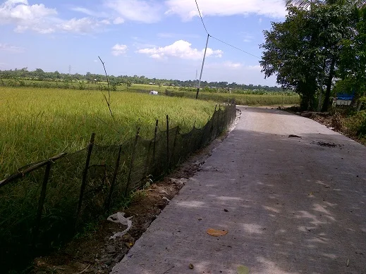 Jalan di Dusun Bulusipong, Desa Alatengae